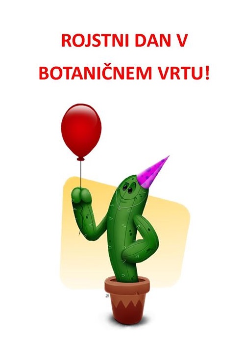 ROJSTNI DAN
